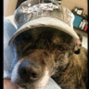 Meet your Posher, Patricia